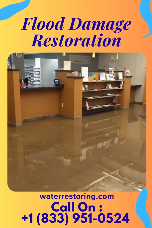 Flood Damage Restoration in Glen Raven, NC