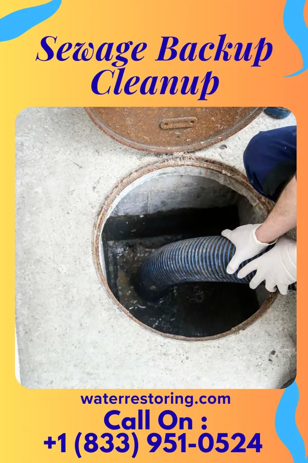 Sewage Backup Cleanup in Glen Raven, NC
